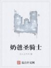 奶爸圣骑士