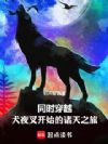 同时穿越:犬夜叉开始的诸天之旅